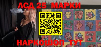 гашик Новодвинск