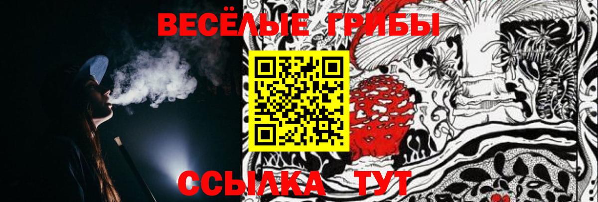 Галлюциногенные грибы Psilocybine cubensis  Вход с VPN  Сочи 